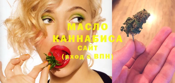 индика Верхний Тагил