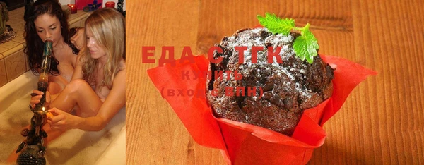 индика Верхний Тагил