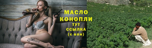 индика Верхний Тагил