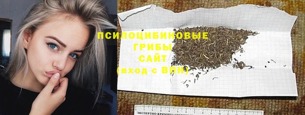 индика Верхний Тагил