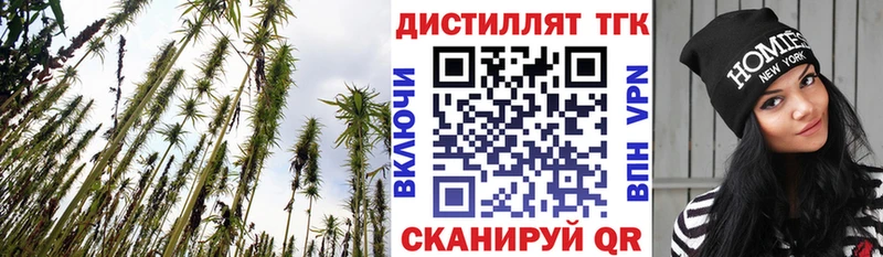 ТГК концентрат  купить   Кимовск 