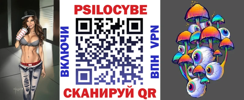 дарк нет как зайти  Кимовск  Псилоцибиновые грибы Psilocybe 