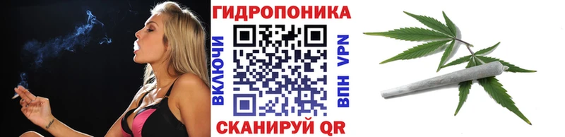 цена наркотик  Кимовск  Каннабис VHQ 